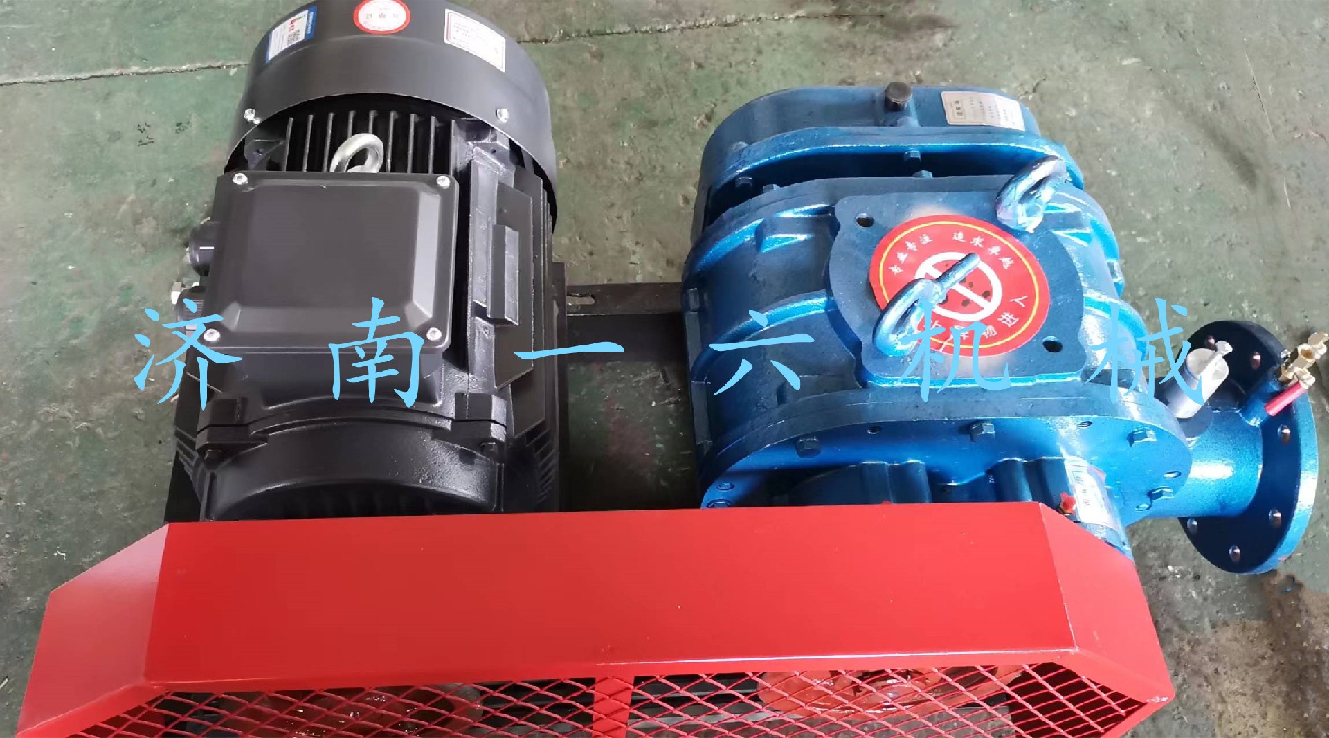 1659342077278317.jpg 1659342077278317.jpg