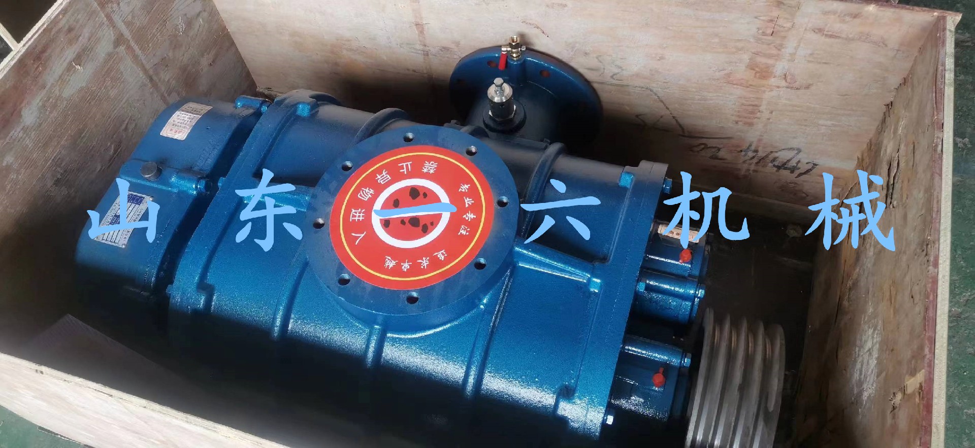 1686294938193126.jpg 1686294938193126.jpg