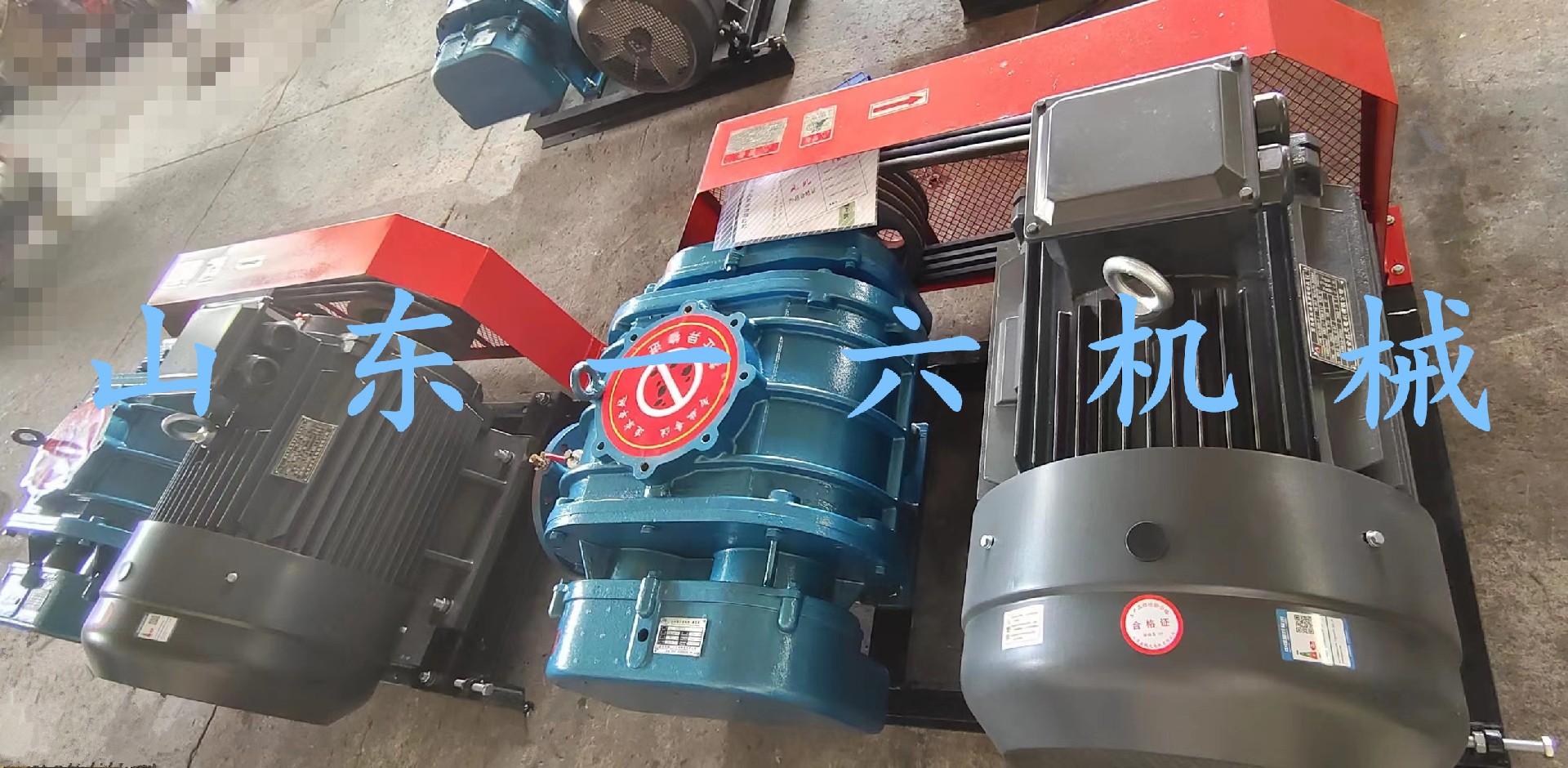 1695370926203680.jpg 1695370926203680.jpg