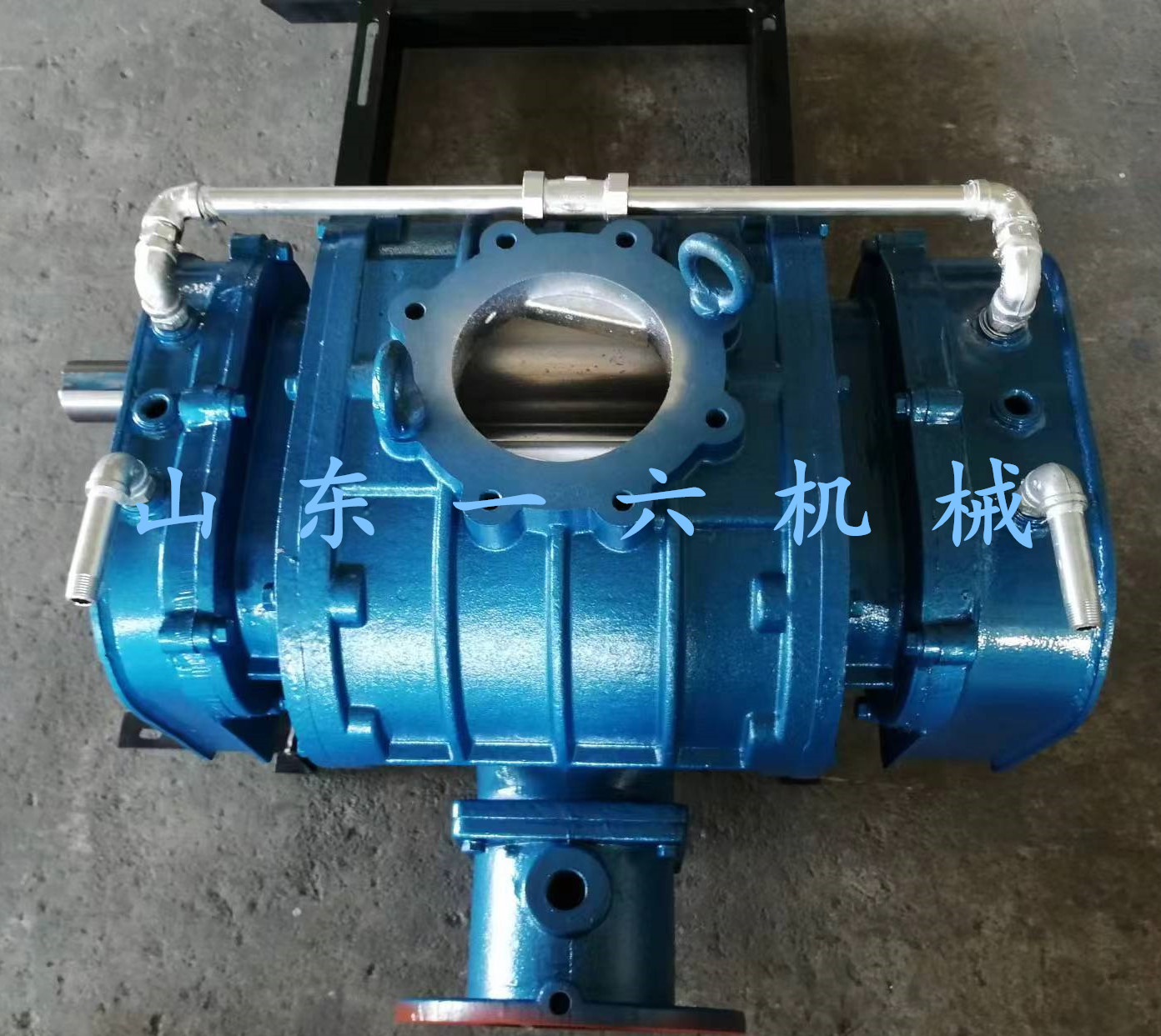 1717141535995630.jpg 1717141535995630.jpg